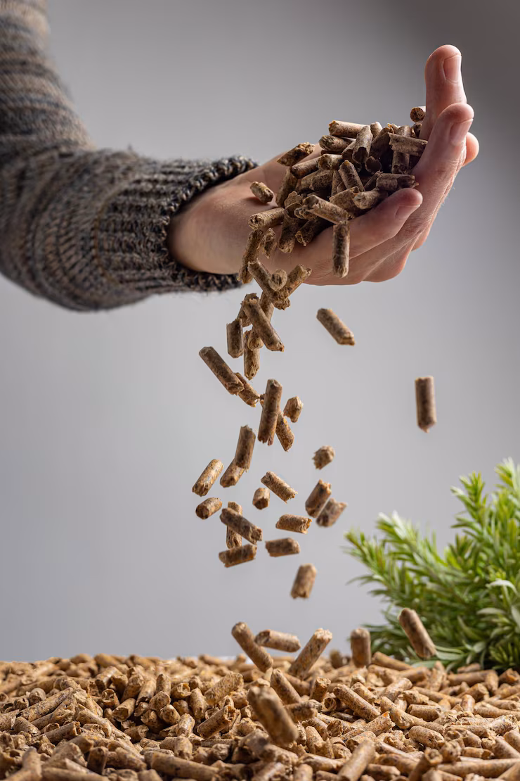 Biomass Pellet